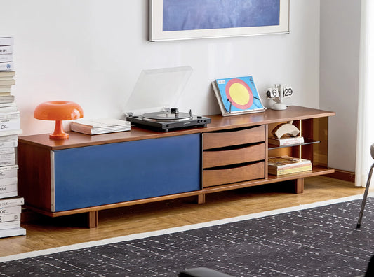 Mies Solid Wood TV Console with Double-Coloured Door